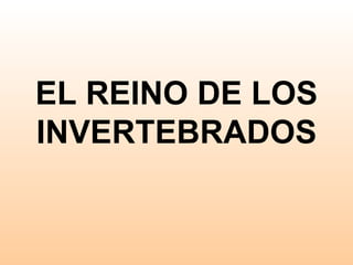 EL REINO DE LOS INVERTEBRADOS 