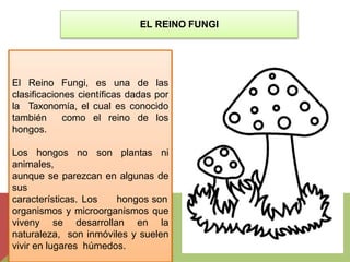 EL REINO FUNGI
El Reino Fungi, es una de las
clasificaciones científicas dadas por
la Taxonomía, el cual es conocido
también como el reino de los
hongos.
Los hongos no son plantas ni
animales,
aunque se parezcan en algunas de
sus
características. Los hongos son
organismos y microorganismos que
viveny se desarrollan en la
naturaleza, son inmóviles y suelen
vivir en lugares húmedos.
 