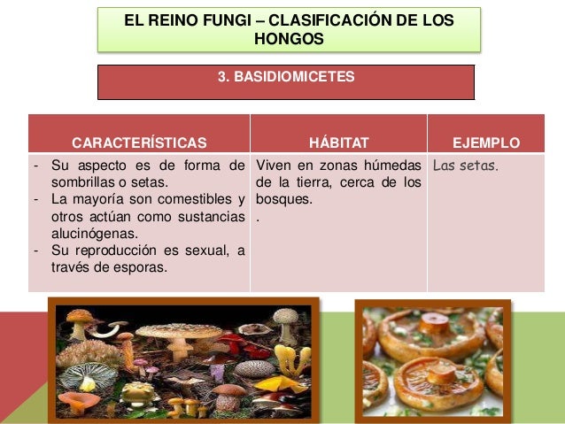 Que tratar el calzado si el hongo en los pies