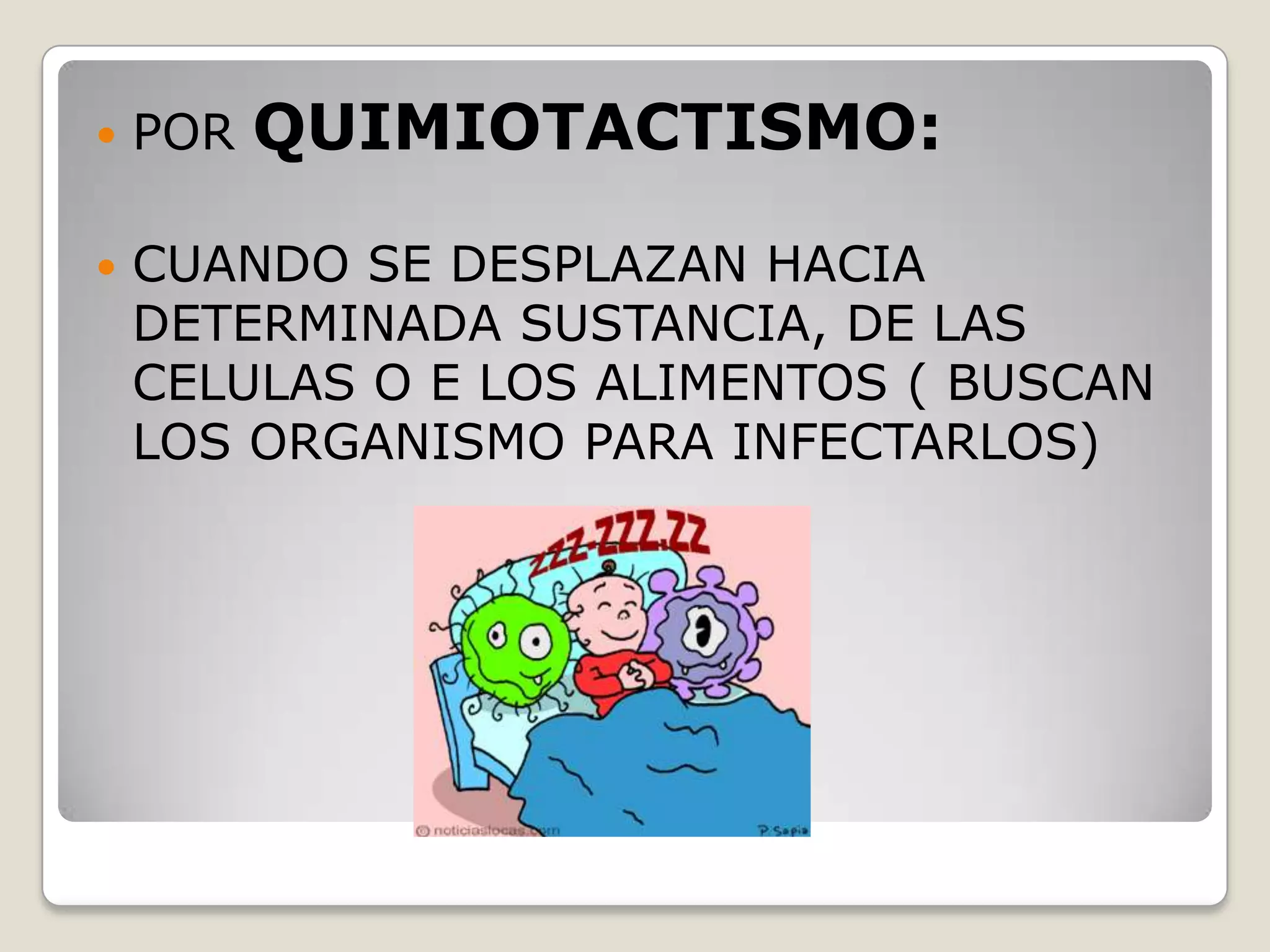 El reino mónera | PPTX