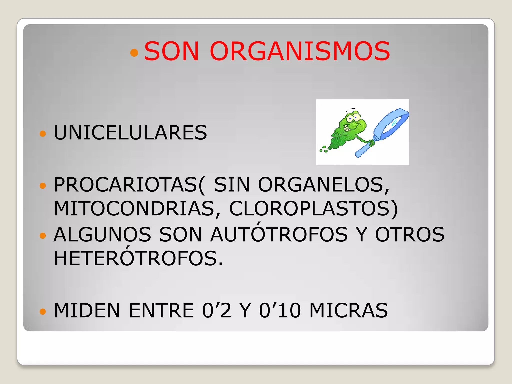 El reino mónera | PPTX