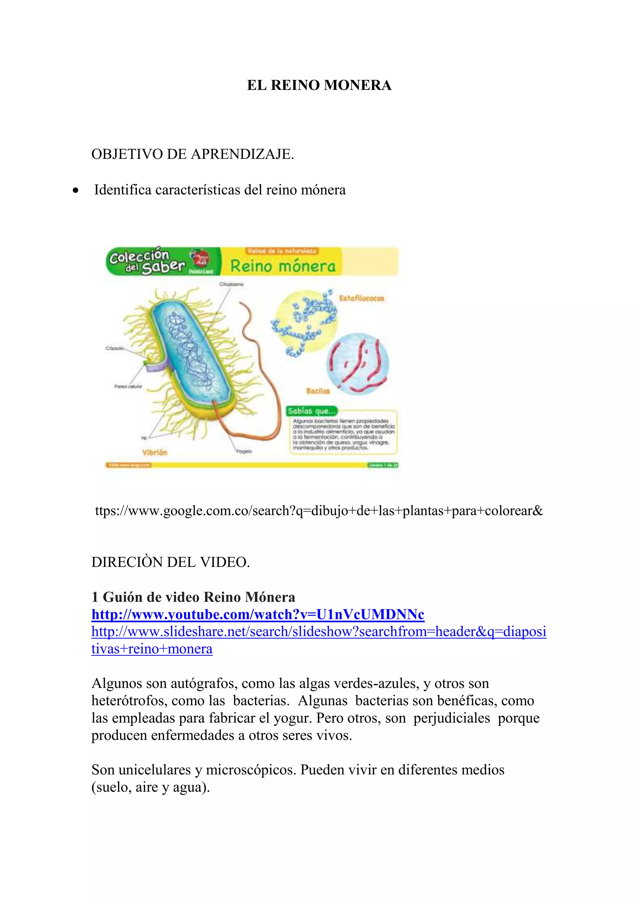 El reino monera | DOCX