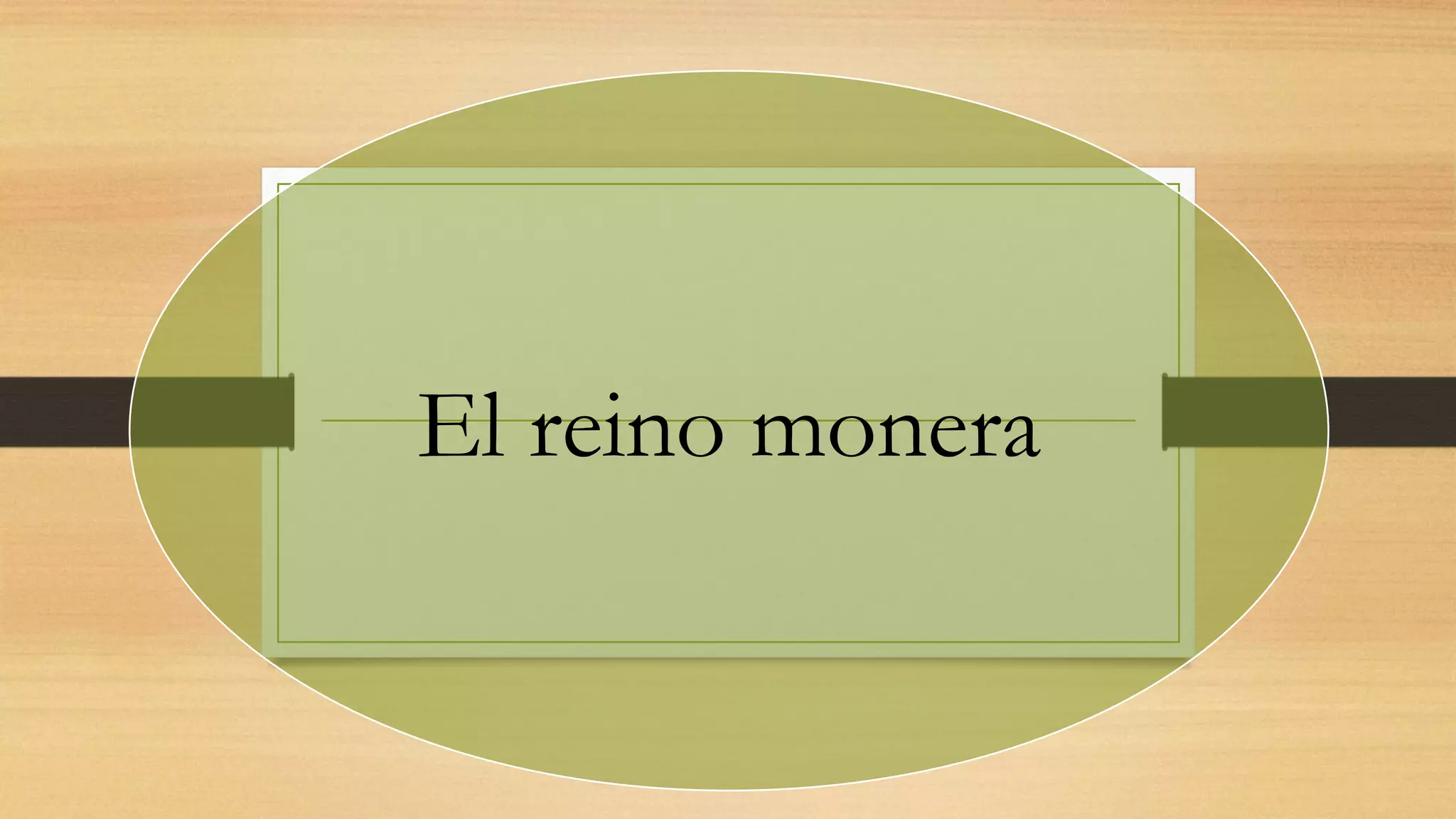 El reino monera | PPTX
