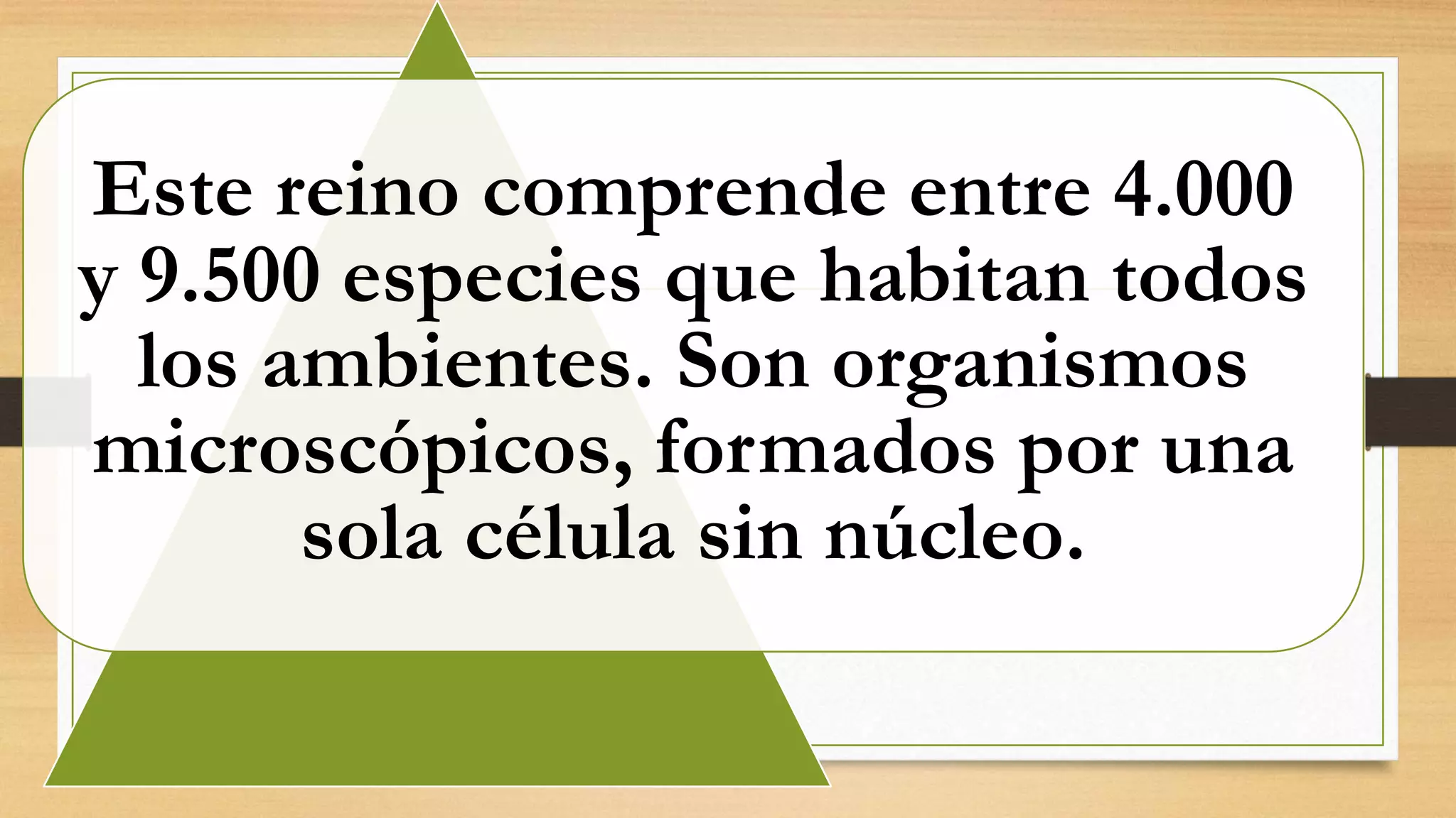 El reino monera | PPTX