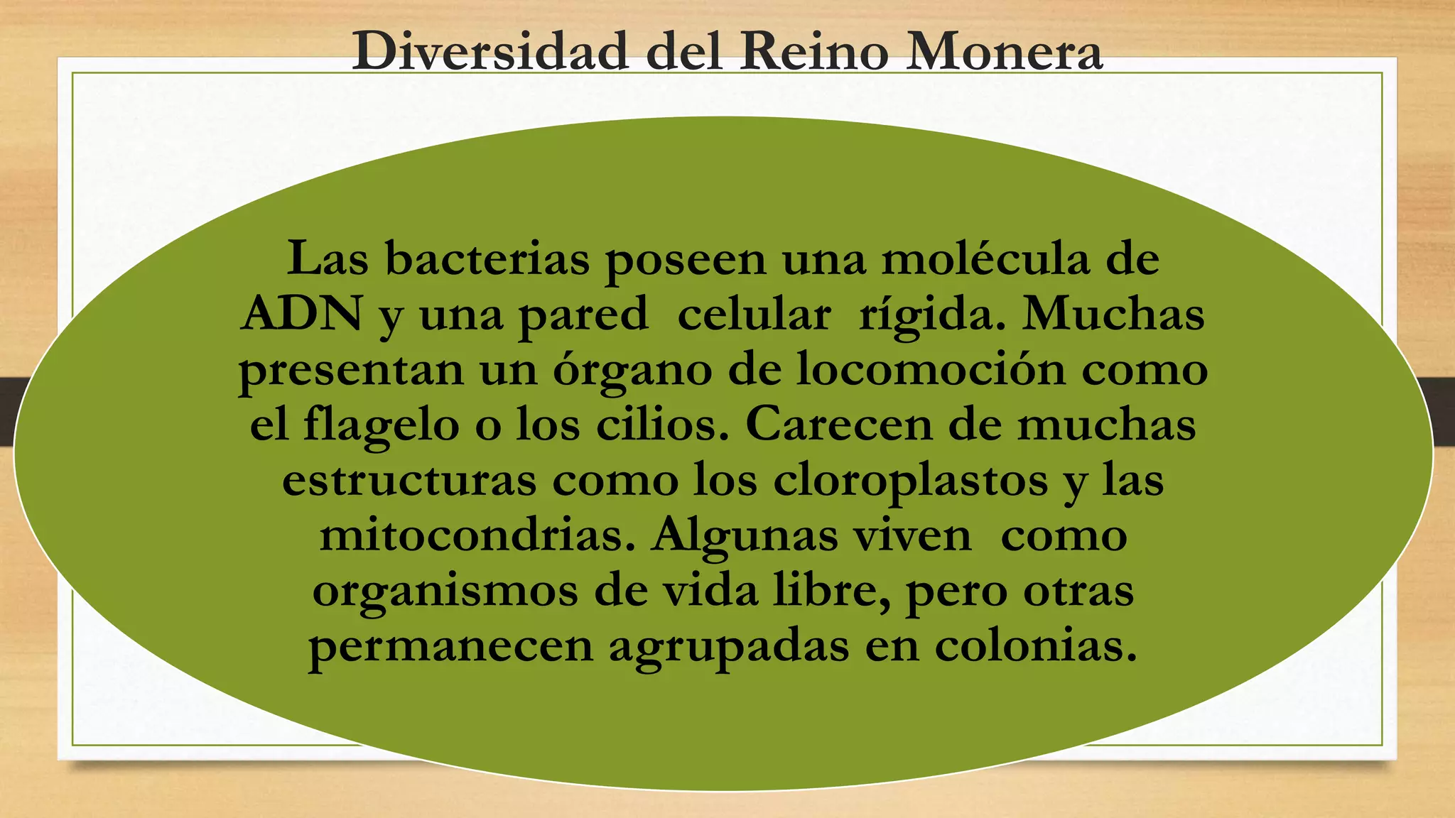 El reino monera | PPTX