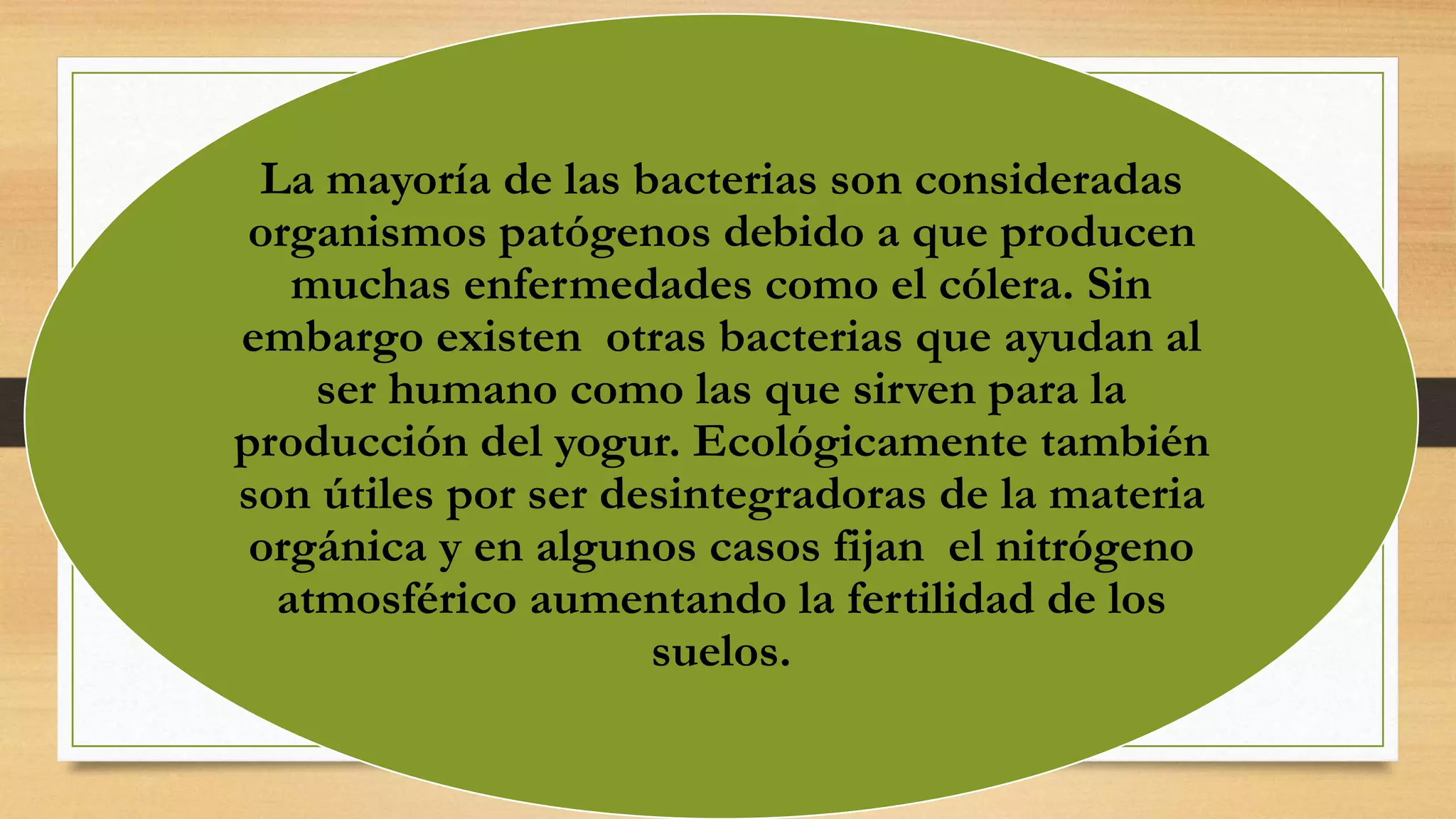 El reino monera | PPTX