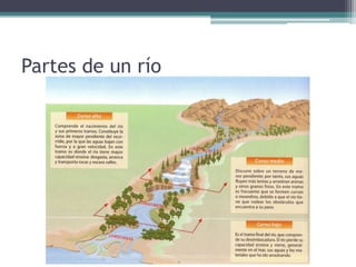 Partes de un río
 