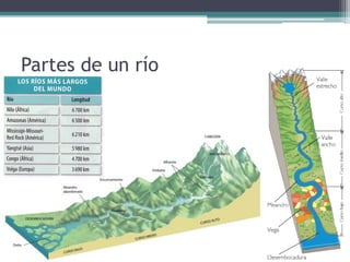 Partes de un río
 