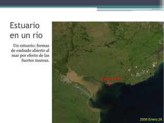 Estuario
en un río
 Un estuario: formas
de embudo abierto al
mar por efecto de las
     fuertes mareas.
 