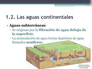 1.2. Las aguas continentales
• Aguas subterráneas
 ▫ Se originan por la filtración de agua debajo de
   la superficie.
 ▫ La acumulación de agua forma depósitos de agua
   llamados acuíferos.
 