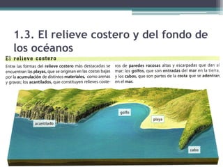 1.3. El relieve costero y del fondo de
los océanos
 