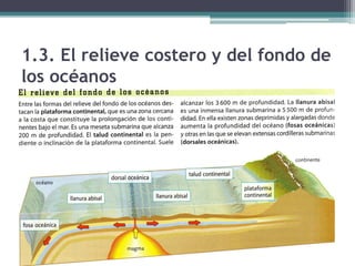 1.3. El relieve costero y del fondo de
los océanos
 