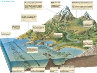 Fuente: Vicens Vives Profesor: Javier Anzano 
