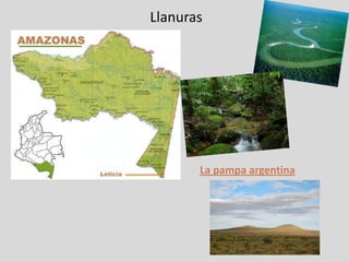 Llanuras




       La pampa argentina
 