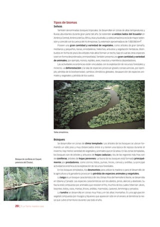 Tipos de biomas
Selvas
También denominadas bosques tropicales. Se desarrollan en zonas de altas temperaturas y
lluvias abundantes durante gran parte del año. Se extienden a ambos lados del Ecuador en
América Central,América del Sur,África,Asia yAustralia.La selva amazónica es la de mayor exten-
sión y coincide con la cuenca del ríoAmazonas.Su extensión aproximada es de 7 000 000 km2.
Poseen una gran cantidad y variedad de vegetales, como árboles de gran tamaño,
medianos y pequeños, lianas, enredaderas, helechos, arbustos y vegetación herbácea, distri-
buidos en forma de pisos (los árboles más altos forman un techo, bajo el cual las otras especies
viven en forma desordenada y enmarañada).También presenta una gran cantidad y variedad
de animales, por ejemplo, monos, reptiles, aves, insectos y mamíferos depredadores.
Las actividades económicas están vinculadas con la explotación de recursos forestales y
mineros. La deforestación o la tala de especies provocan graves consecuencias, por ejem-
plo, pérdida de la biodiversidad, cambios climáticos globales, desaparición de especies ani-
males y vegetales y pérdida de los suelos.
Bosques
Se desarrollan en zonas de clima templado. Los árboles de los bosques se ubican for-
mando un sólo piso y muy distanciados entre sí y tienen una época de reposo durante el
invierno. Hay menor variedad de vegetales y animales que en la selva. En las zonas templadas,
los bosques son de árboles y arbustos de hojas caducas y los de las regiones más frías son
de coníferas, árboles de hojas perennes. La fauna de los bosques está formada principal-
mente por predadores, como zorros, lobos, pumas, linces, ciervos y ardillas. La principal
actividad económica es la explotación de recursos forestales.
En los bosques templados, los desmontes para utilizar la madera o para el desarrollo de
la agricultura y la ganadería provocan la pérdida de especies animales y vegetales.
La taiga es un bosque característico de los climas fríos del hemisferio Norte,se desarrolla
en Siberia y Canadá. Las especies características son los abetos, pinos, alerces y abedules. Su
fauna está compuesta por animales que resisten el frío, muchos de los cuales hibernan: alces,
bisontes, lobos, osos, martas, linces, ardillas, marmotas, castores, lemmings y venados.
La tundra se desarrolla en zonas muy frías y en las altas montañas. Es una agrupación
vegetal compuesta por musgos y líquenes que aparecen sólo en el verano al derretirse la nie-
ve que cubre el territorio durante casi todo el año.
Selva amazónica.
Bosque de coníferas en Esquel,
provincia del Chubut.
20 | 1 La Tierra, nuestra casa
 