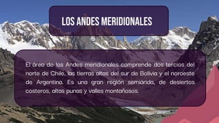Los Andes meridionales
El área de los Andes meridionales comprende dos tercios del
norte de Chile, las tierras altas del sur de Bolivia y el noroeste
de Argentina. Es una gran región semiárida, de desiertos
costeros, altas punas y valles montañosos.
 