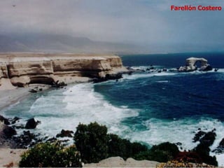 Farellón Costero
 