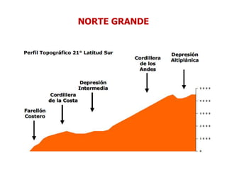 NORTE GRANDE
 