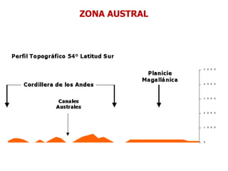 ZONA AUSTRAL
 