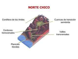 Cordillera de los Andes Cuencas de transición
semiárida
Cordones
transversales Valles
transversales
Planicies
litorales
NORTE CHICO
 