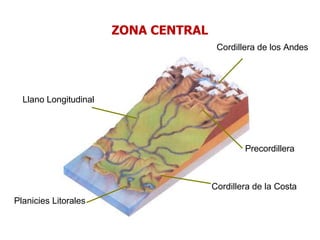 Cordillera de los Andes
Llano Longitudinal
Planicies Litorales
Precordillera
Cordillera de la Costa
ZONA CENTRAL
 