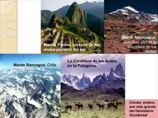 Cóndor andino,
ave más grande
del Hemisferio
Occidental
La Cordillera de los Andes
en la Patagonia
Monte Rancagua, Chile
Machu Picchu, corazón de los
andes peruano del sur
Monte Aconcagua,
pico más alto de la
Cordillera de los
Andes
 