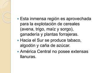  Esta inmensa región es aprovechada
para la explotación de cereales
(avena, trigo, maíz y sorgo),
ganadería y plantas forrajeras.
 Hacia el Sur se produce tabaco,
algodón y caña de azúcar.
 América Central no posee extensas
llanuras.
 