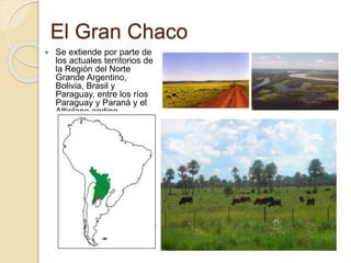 El Gran Chaco
 Se extiende por parte de
los actuales territorios de
la Región del Norte
Grande Argentino,
Bolivia, Brasil y
Paraguay, entre los ríos
Paraguay y Paraná y el
Altiplano andino.
 