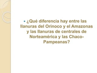  ¿Qué diferencia hay entre las
llanuras del Orinoco y el Amazonas
y las llanuras de centrales de
Norteamérica y las Chaco-
Pampeanas?
 
