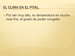 EL CLIMA EN EL PITAL.


Por ser muy alto, su temperatura es mucho
mas fría, al grado de poder congelar.

 