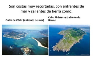 Son costas muy recortadas, con entrantes de
mar y salientes de tierra como:
Golfo de Cádiz (entrante de mar)
Cabo Finisterre (saliente de
tierra)
 