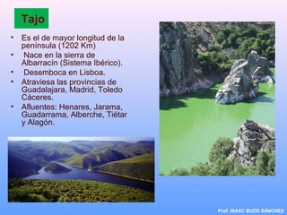 Tajo
• Es el de mayor longitud de la
península (1202 Km)
• Nace en la sierra de
Albarracín (Sistema Ibérico).
• Desemboca en Lisboa.
• Atraviesa las provincias de
Guadalajara, Madrid, Toledo
Cáceres.
• Afluentes: Henares, Jarama,
Guadarrama, Alberche, Tiétar
y Alagón.
Prof. ISAAC BUZO SÁNCHEZ
 