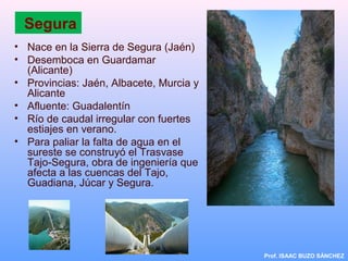 Segura
• Nace en la Sierra de Segura (Jaén)
• Desemboca en Guardamar
(Alicante)
• Provincias: Jaén, Albacete, Murcia y
Alicante
• Afluente: Guadalentín
• Río de caudal irregular con fuertes
estiajes en verano.
• Para paliar la falta de agua en el
sureste se construyó el Trasvase
Tajo-Segura, obra de ingeniería que
afecta a las cuencas del Tajo,
Guadiana, Júcar y Segura.
Prof. ISAAC BUZO SÁNCHEZ
 
