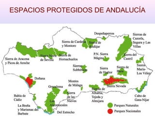 ESPACIOS PROTEGIDOS DE ANDALUCÍA
 