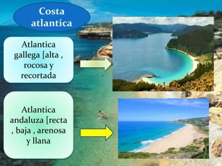 Atlantica
gallega [alta ,
rocosa y
recortada
Costa
atlantica
Atlantica
andaluza [recta
, baja , arenosa
y llana
 