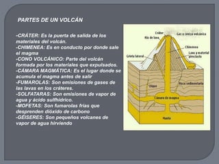 PARTES DE UN VOLCÁN
-CRÁTER: Es la puerta de salida de los
materiales del volcán.
-CHIMENEA: Es en conducto por donde sale
el magma
-CONO VOLCÁNICO: Parte del volcán
formada por los materiales que expulsados.
-CÁMARA MAGMÁTICA: Es el lugar donde se
acumula el magma antes de salir
-FUMAROLAS: Son emisiones de gases de
las lavas en los cráteres.
-SOLFATARAS: Son emisiones de vapor de
agua y ácido sulfhídrico.
-MOFETAS: Son fumarolas frías que
desprenden dióxido de carbono
-GÉISERES: Son pequeños volcanes de
vapor de agua hirviendo
 