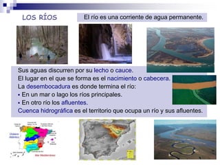 LOS RÍOS
Sus aguas discurren por su lecho o cauce.
El lugar en el que se forma es el nacimiento o cabecera.
La desembocadura es donde termina el río:
 En un mar o lago los ríos principales.
 En otro río los afluentes.
Cuenca hidrográfica es el territorio que ocupa un río y sus afluentes.
El río es una corriente de agua permanente.
 