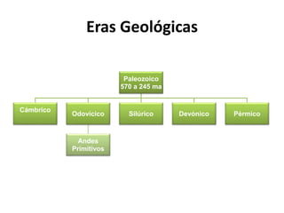 Eras Geológicas
Paleozoico
570 a 245 ma
Cámbrico
Odovícico
Andes
Primitivos
Silúrico Devónico Pérmico
 