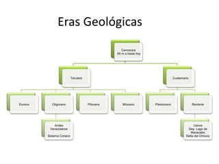 Eras Geológicas
Cenozoica
65 m a hasta hoy
Terciario
Eoceno Oligoceno
Andes
Venezolanos
Sistema Coriano
Plíoceno Míoceno
Cuaternario
Pleistoceno Reciente
Llanos
Dep. Lago de
Maracaibo
Delta del Orinoco
 