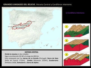 GRANDES UNIDADES DEL RELIEVE. Meseta Central y Cordilleras interiores 
c) Cordillera interiores 
SISTEMA CENTRAL 
Divide la meseta en dos mitades. 
Sigue una dirección SO-NE a lo largo de 400 Km. 
Está compuesto por las sierras de La Estrella (Portugal), Sierra de Gata 
(Peña de Francia 1723m), Gredos (Almanzor 2559m), Guadarrama 
(Peñalara 2428), Somosierra y Sierra de Ayllon. 
 