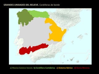 GRANDES UNIDADES DEL RELIEVE. Cordilleras de borde 
a) Macizo Galaico-leonés b) Cordillera Cantábrica c) Sistema Ibérico d) Sierra Morena 
 
