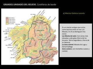 GRANDES UNIDADES DEL RELIEVE. Cordilleras de borde 
a) Macizo Galaico-Leonés 
Es un macizo antiguo que actúa 
como barrera entre el mar y la 
Meseta. En él se distinguen tres 
zonas: 
Los Monte de León: Con zonas más 
elevadas y abruptas (Sierra de los 
Ancares Sierra Segundera y Sierra de 
la Cabrera) 
La zona central: Meseta de Lugo y 
Dorsal Gallega 
Zona costera: con montañas suaves y 
cuestas 
 