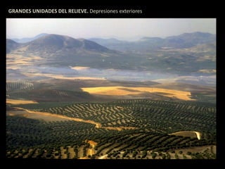 GRANDES UNIDADES DEL RELIEVE. Depresiones exteriores 
 