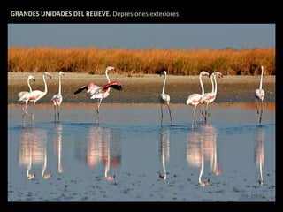 GRANDES UNIDADES DEL RELIEVE. Depresiones exteriores 
 