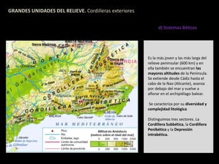 GRANDES UNIDADES DEL RELIEVE. Cordilleras exteriores 
d) Sistemas Béticos 
Es la más joven y las más larga del 
relieve peninsular (600 km) y en 
ella también se encuentran las 
mayores altitudes de la Península. 
Se extiende desde Cádiz hasta el 
cabo de la Nao (Alicante), avanza 
por debajo del mar y vuelve a 
aflorar en el archipiélago balear. 
Se caracteriza por su diversidad y 
complejidad litológica 
Distinguimos tres sectores. La 
Cordillera Subbética, la Cordillera 
Penibética y la Depresión 
intrabética. 
 
