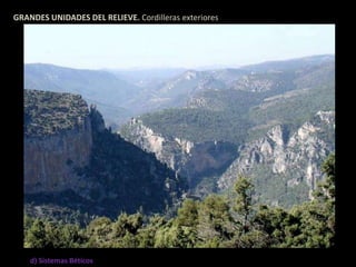 GRANDES UNIDADES DEL RELIEVE. Cordilleras exteriores 
d) Sistemas Béticos 
 
