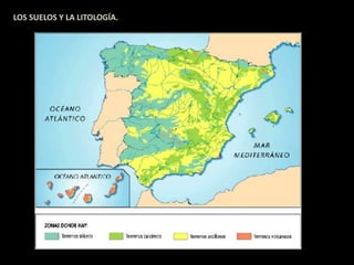 LOS SUELOS Y LA LITOLOGÍA. 
 