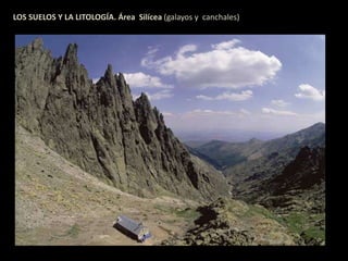 LOS SUELOS Y LA LITOLOGÍA. Área Silícea (galayos y canchales) 
 