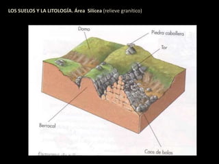 LOS SUELOS Y LA LITOLOGÍA. Área Silícea (relieve granítico) 
 