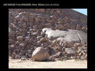 LOS SUELOS Y LA LITOLOGÍA. Área Silícea (caos de bolas) 
 